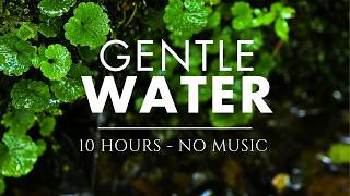 10 HOURS of GENTLE Sounds of Water with No Music / Birdsong