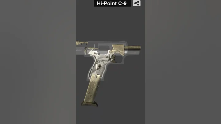 HI-POINT C9! HOW IT WORKS!