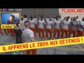 Kreeks en prison  best of flashland 