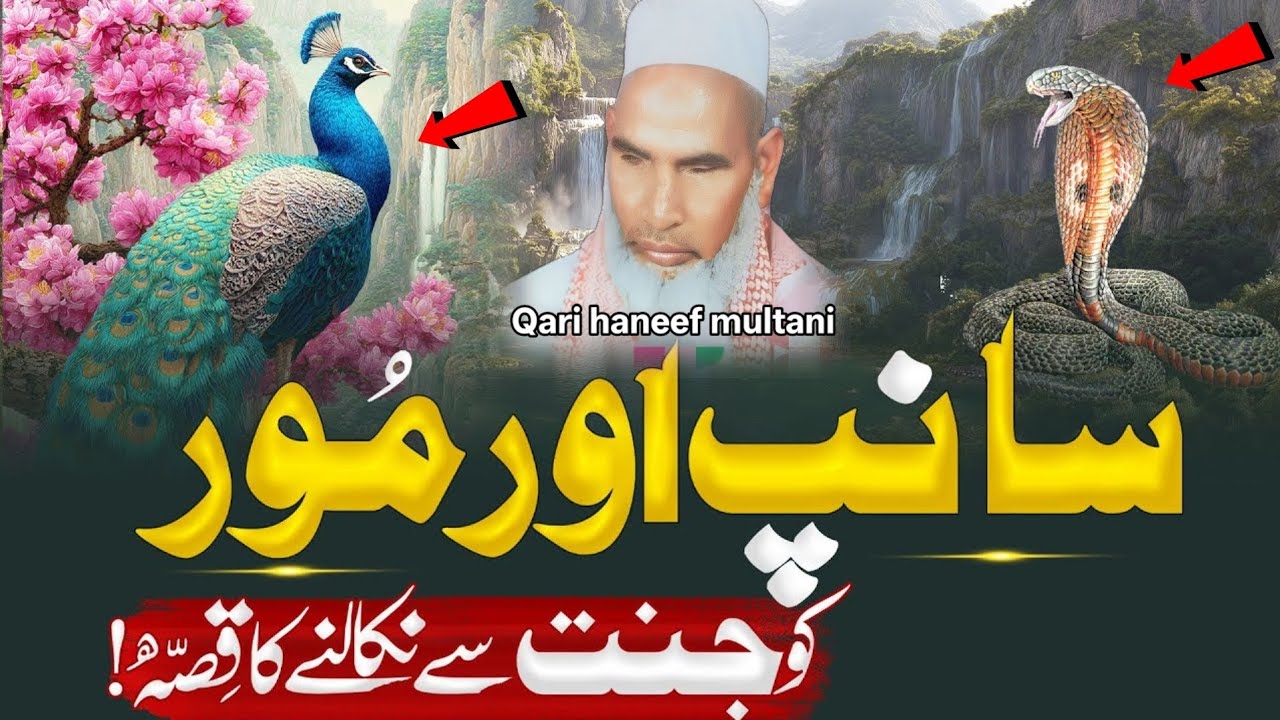 सांप और मोर को जन्नत से क्यों निकाला गया था एक बार जरूर सुन ले 🥹 Qari haneef multani kari Hanif 
