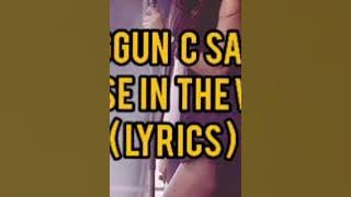 Anggun C Sasmi | A Rose In The Wind #lyrics