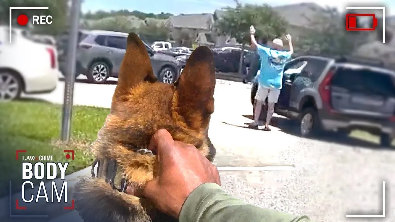 Florida Cops Hunt Down Predators in Wild Sting Operation