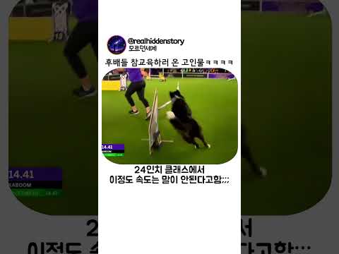 후배들 참교육하러 온 고인물 thumbnail