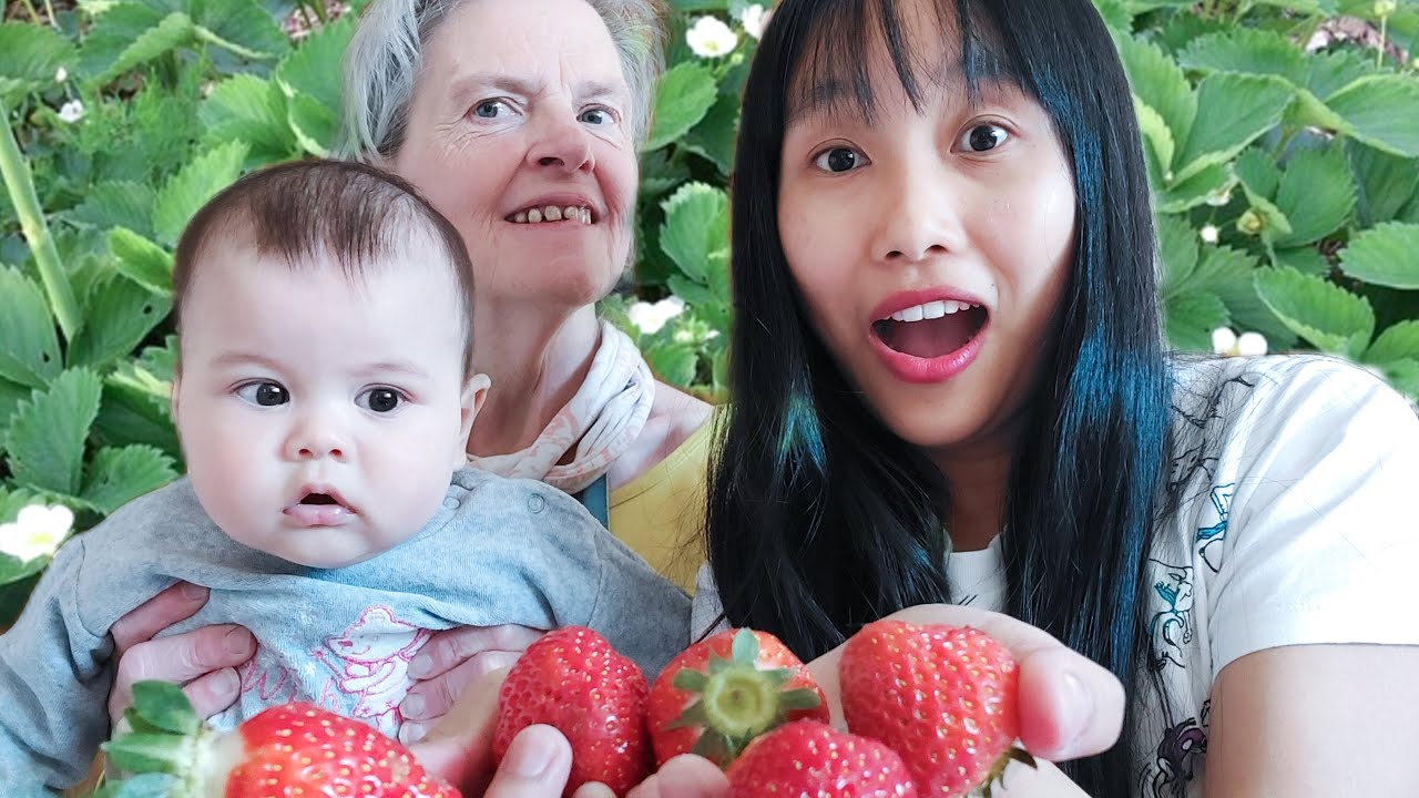 Picking Strawberries from our Garden