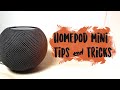 Homepod Mini Tips & Tricks // Kayla's World