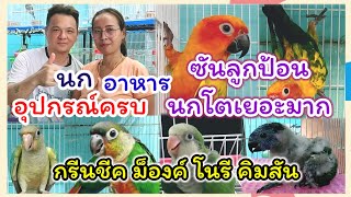 อัปเดตนก ร้านพี่อั๋น สนามหลวง2 นก อาหาร อุปกรณ์การเลี้ยงครบ