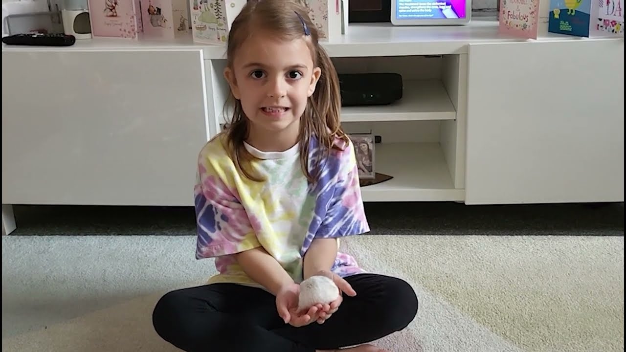 Autistic Pride Day - short video