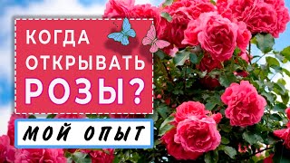 :   ?   ,  