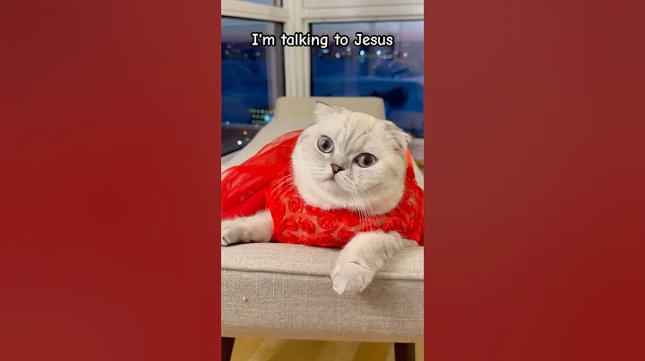 Watch the video about This song I love #jesuslovesyou #kikicutekitty #chatgpt #god #relatable #scottishfold #fypage