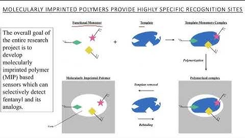 Molecularly Imprinted Polymers and My Project
