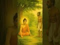 Pleasure is Not Joy – Buddha's wisdom