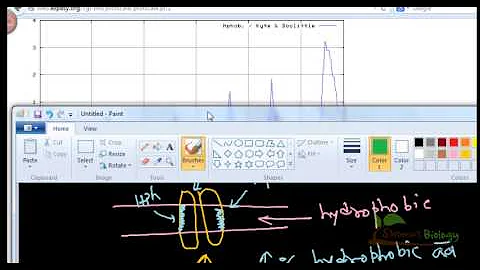 Bioinformatics practical 21 how to find transmembrane region in protein sequence - DayDayNews