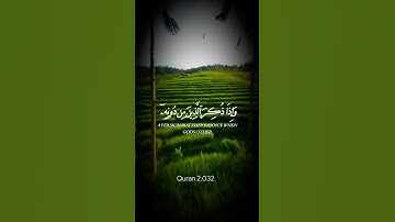 تلاوة مباركة بصوت جميل #القران_الكريم #اكسبلور #quran #ياسر_الدوسري