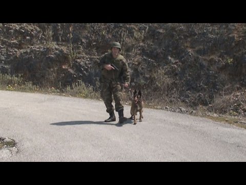 Βίντεο: Πώς να τιμήσετε τα στρατιωτικά σκυλιά που υπηρετούν το έθνος μας