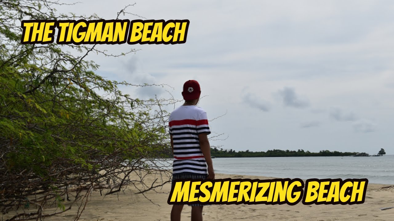 Embracing the Mesmerizing Beauty of Tigman Beach