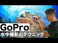 【Gopro水中撮影テクニック】熱烈先生diving school　講座㊾