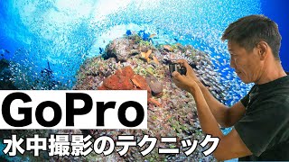 【Gopro水中撮影テクニック】熱烈先生diving school　講座㊾