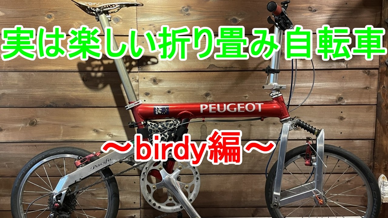 The Surprisingly Fun World of Folding Bikes: birdy Edition (Part 1