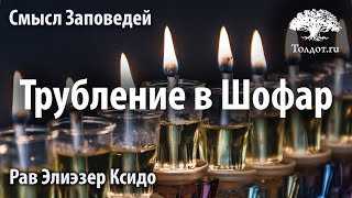Рав Элиэзер Ксидо. Смысл заповедей 1. Трубление в Шофар Рав Элиэзер Ксидо. Смысл заповедей 1. Трубление в Шофар