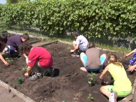 Un trésor dans mon jardin - introduction