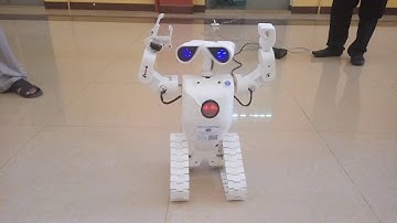 PPI Robot GIGI