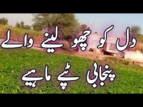 Punjabi Tappe Mahiye Nonari MUnda Dailypakistan786 