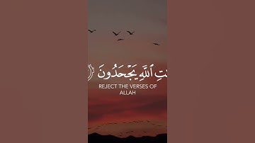 قد نعلم إنه ليحزنك الذي يقولون ۖ فإنهم لا يكذبونك ولكن الظالمين بآيات الله يجحدون
