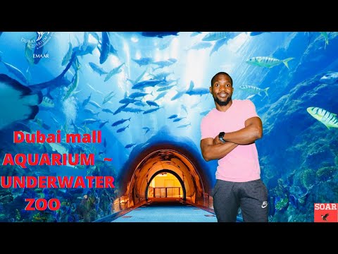 Dubai Mall Aquarium and Underwater Zoo 2020 |DUBAI VLOG 2020
