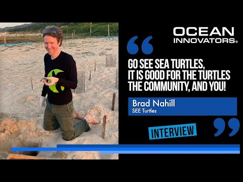 Brad Nahill (Co-Founder of the Project SEE Turtles) - Ocean Innovator Interview