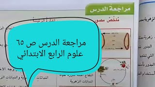 مراجعة الدرس ص ٦٥ / علوم الرابع الابتدائي