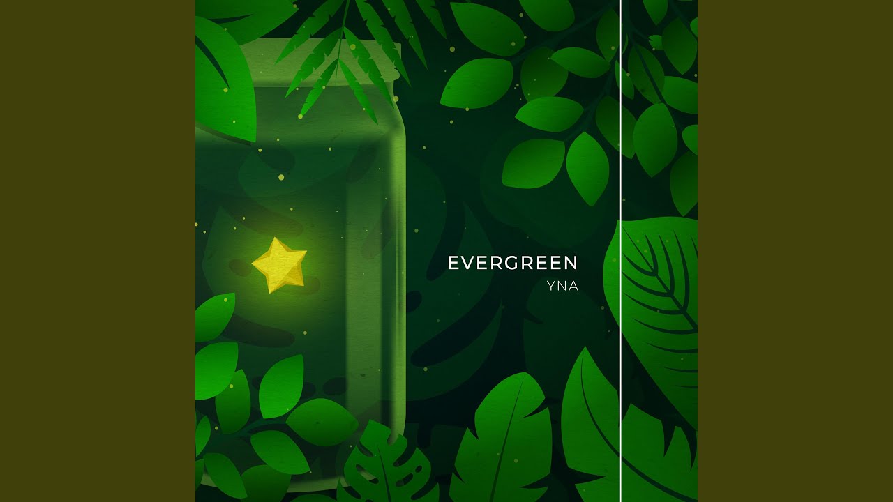Mira Evergreen en YouTube Mira Evergreen en YouTube