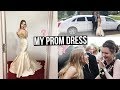mia maples prom dress Mia Maples Dress