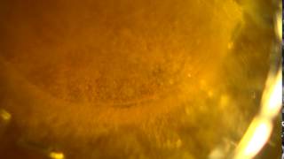 Draftmore - Experience The Perfect Beer Pour