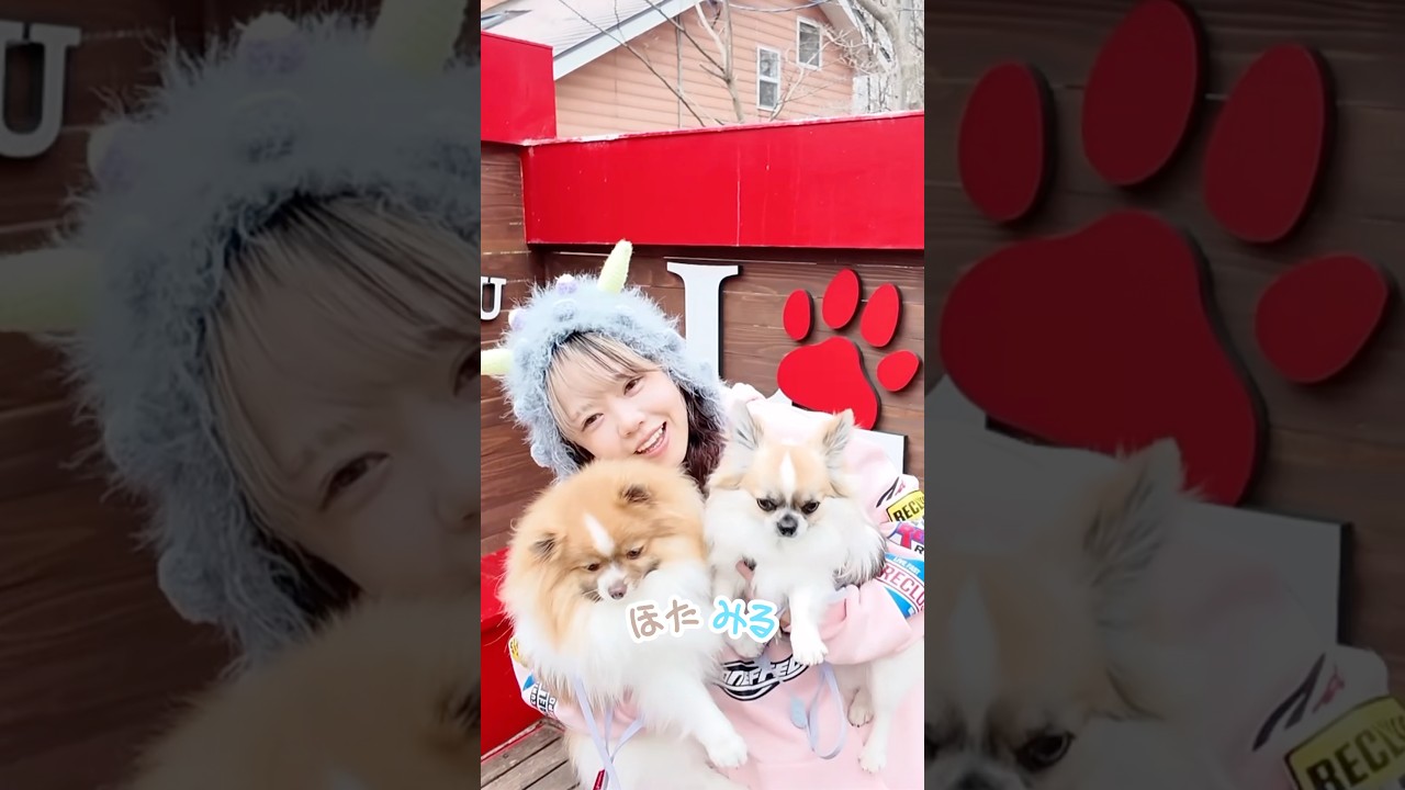 【ルームツアー】わんちゃん特化な隠れ家リゾート!コテージもすごい!@フォレストヒルズ那須