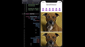 How to Use Vertical & Horizontal ScrollViews in SwiftUI (2020)