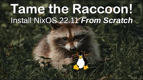 Tame the Raccoon: Install NixOS 22.11 From Scratch