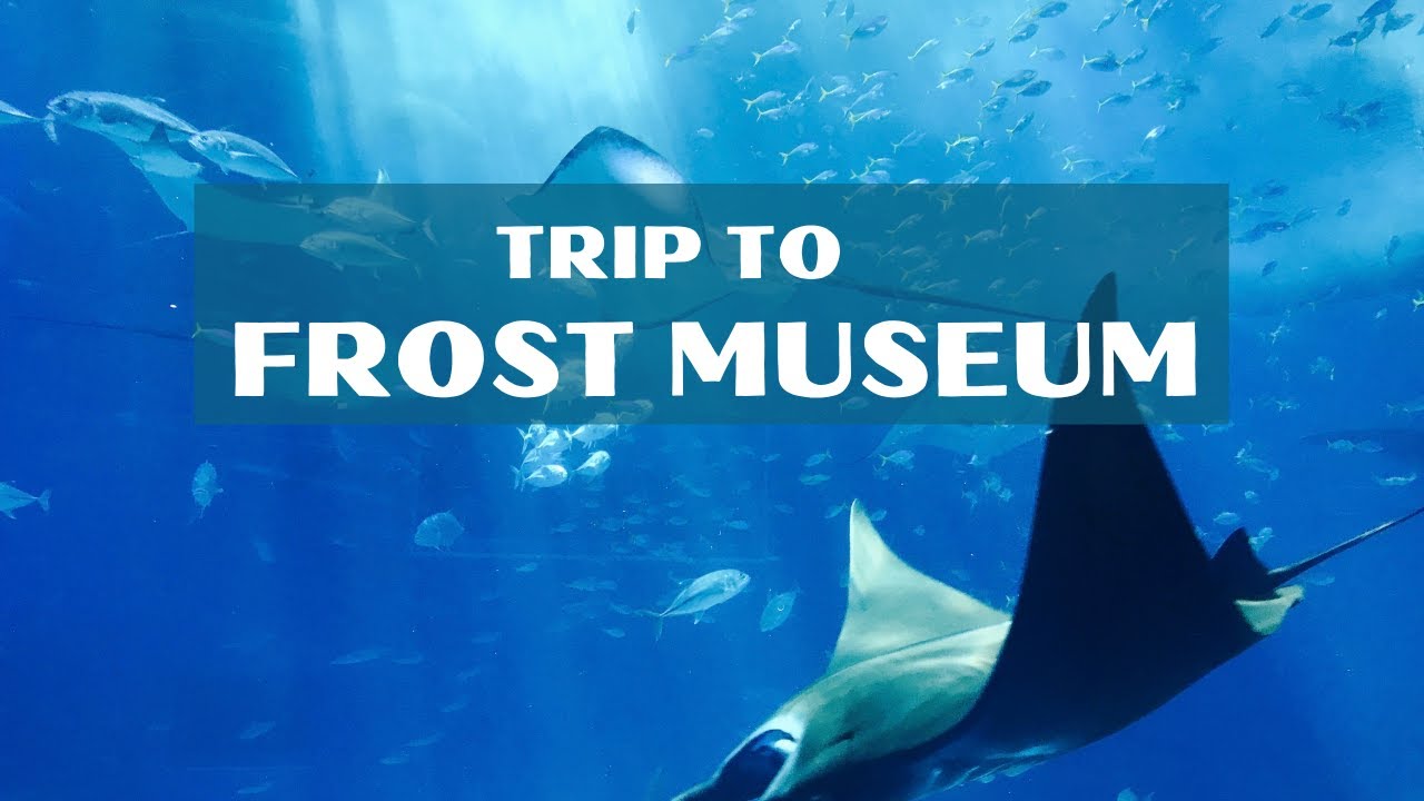 Phillip and Patricia Frost Museum of Science | Top things to do in Miami #miami #activitiesforkids