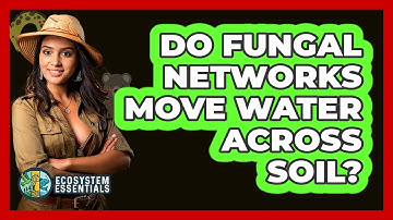 Do Fungal Networks Move Water Across Soil? - Ecosystem Essentials