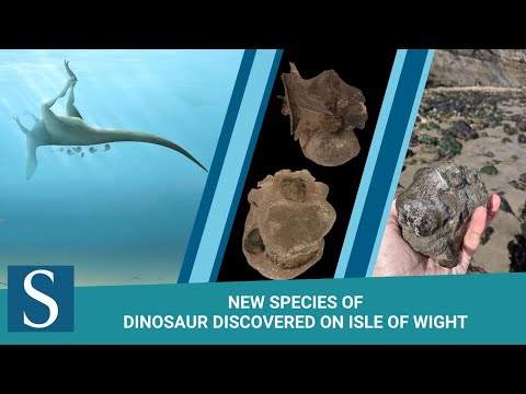 New species of dinosaur discovered on Isle of Wight - University of Southampton.