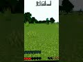 Minecraft funny#minecraft #irongolem #speedrun