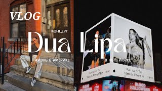 : vlog 6 |  Dua Lipa,   -, ,     ,    