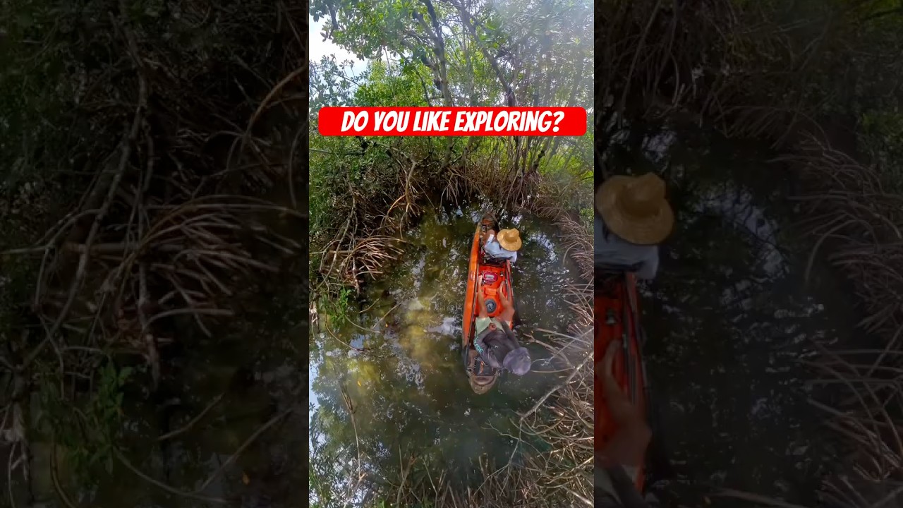 Lunch spot in an island off of Key Largo, Florida😎🤪🤪