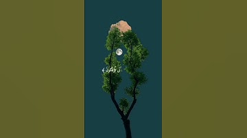 قران كريم.اللهم اجعل القران  ربيع قلوبنا ونور صدورنا