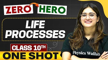 Life Processes | Full Chapter in ONE SHOT | Class 10th Science 🔥