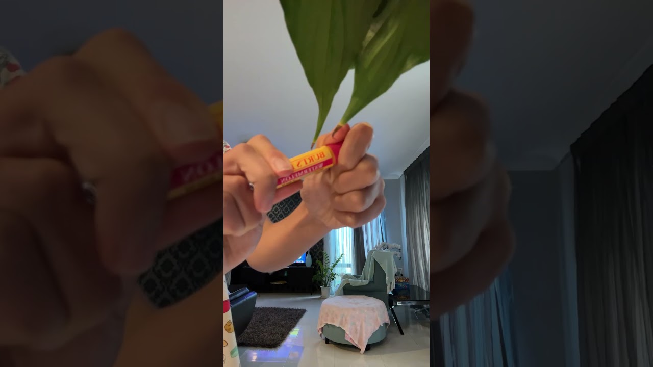 lippies of the week 🩷🩷 