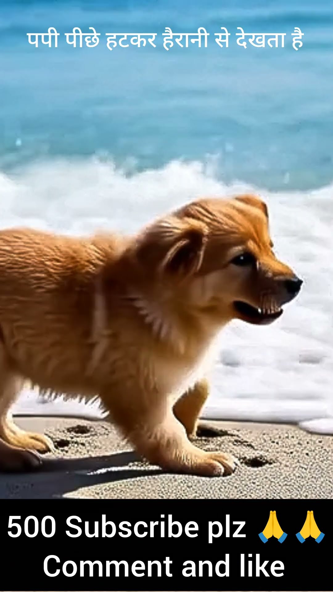 trending - ShareChat