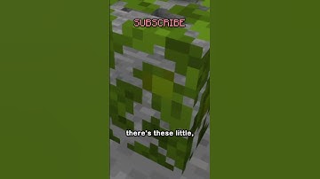 my new favorite block