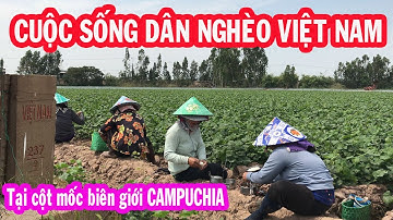 Cuộc sống dân nghèo Việt Nam tại cột mốc biên giới Campuchia | Nhatky365