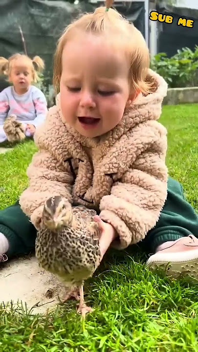 Cute bird 😊 #funny #shorts