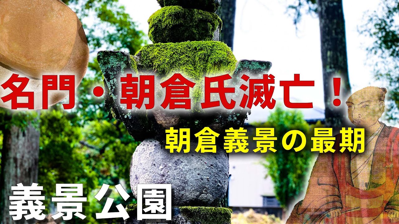 【義景公園・平泉寺】朝倉義景、無念の最期＆司馬遼太郎絶賛の苔【称念寺・丸岡城】（福井県史跡巡り７）